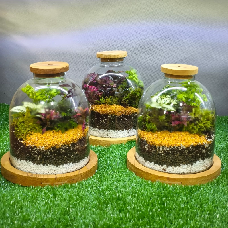 تراریوم مدل لیلیوم (متوسط)