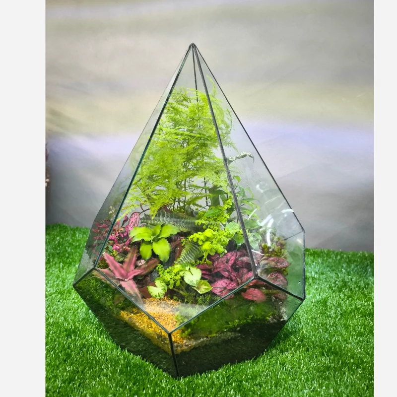 تراریوم چند ضلعی الماسی 40 سانت