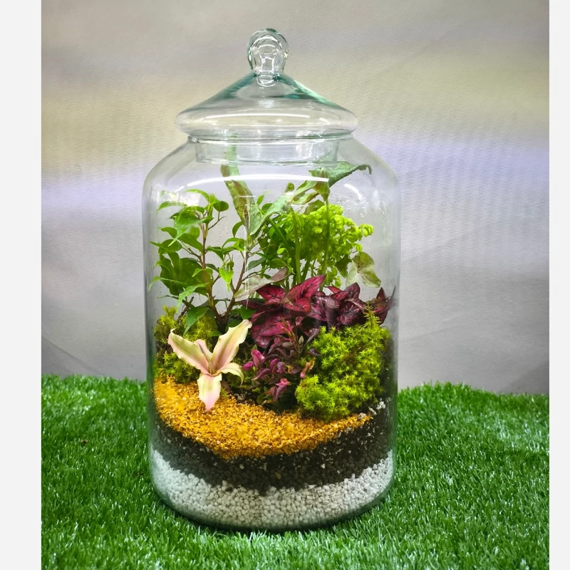 تراریوم استوایی مدل پرنس سایز بزرگ