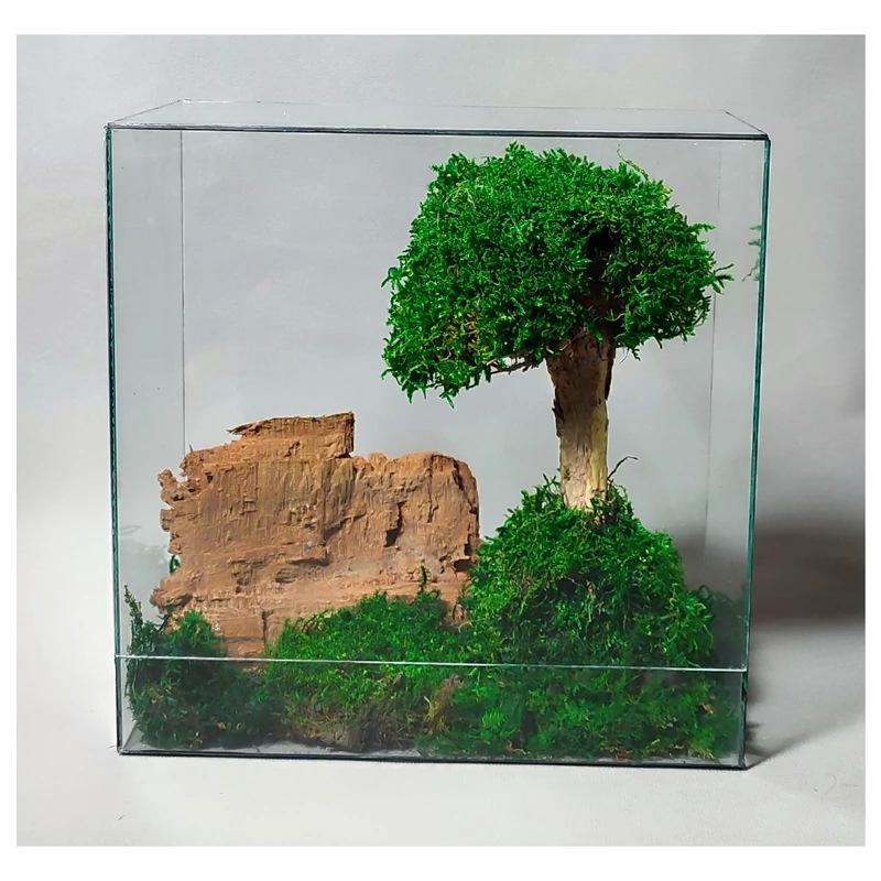 تراریوم چند ضلعی مدل درخت جاودان مدل کتابی