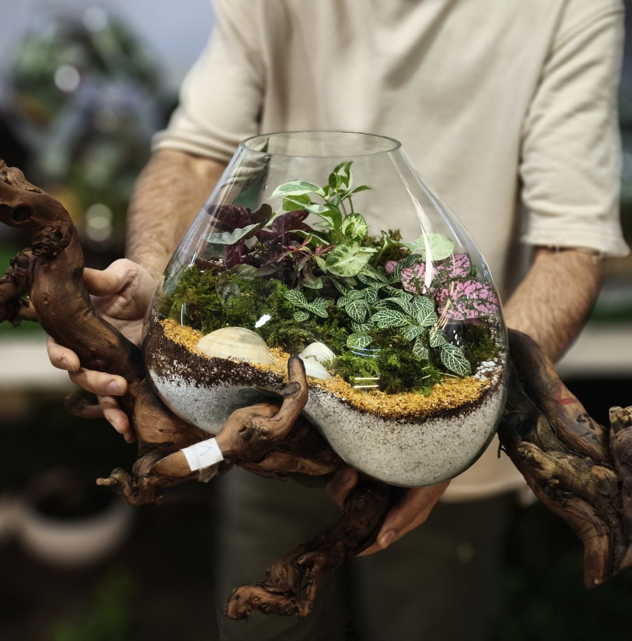 تراریوم دفرمه با زیره چوبی